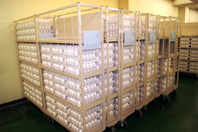 鶏卵工場の施設 | 【彩たまごオフィシャル】埼玉県産の安心・安全な卵です